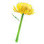 Animal Crossing New Horizons Wand Chrysanthemum