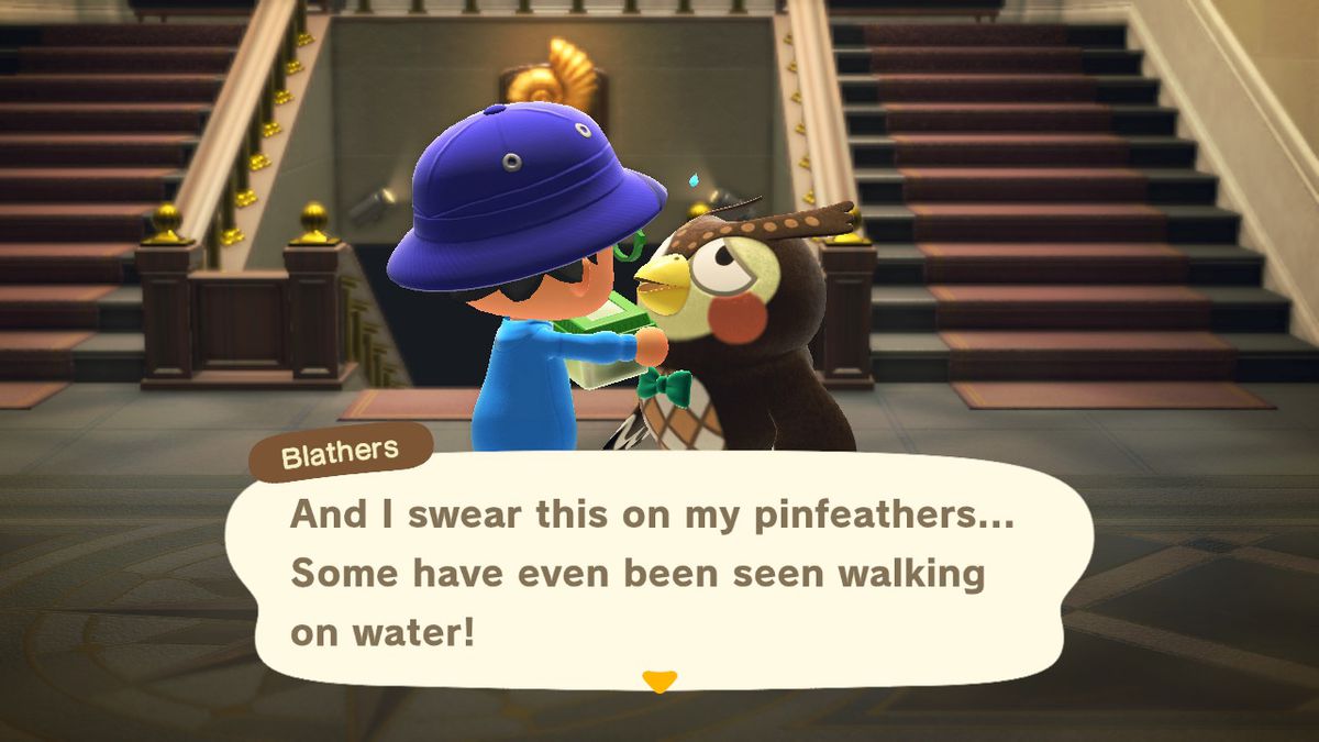Blathers talar om buggar i Animal Crossing: New Horizons