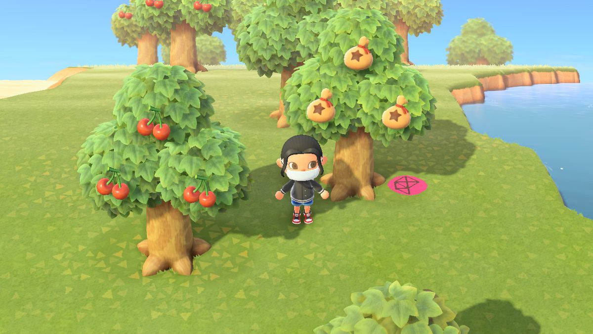 Stå framför ett pengarträd i Animal Crossing New Horizons
