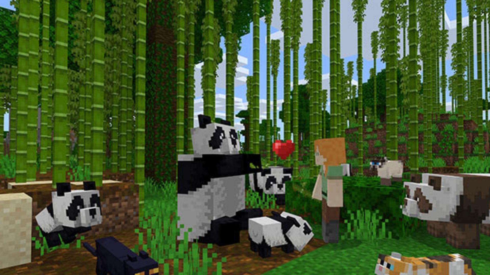 Minecraft-nedladdning - en grupp pandor som visar kärlek till en människa mitt i en bambuskog